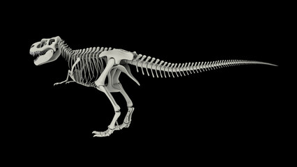 Skeletal system of Tyrannosaurus rex, side view.