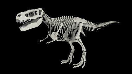 Skeletal system of Tyrannosaurus rex, side view.