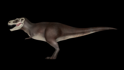 Fototapeta premium Tyrannosaurus rex dinosaur, side view.