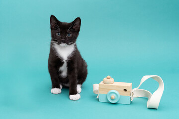 Cute black and white kitten, cat in a blue studio setting with a toy camera looking at the lens