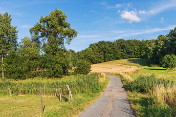 Feldweg durch Landschaft mit Weizenfeldern, Weiden, Wiesen und Waldstücken am Hang des Travetals...