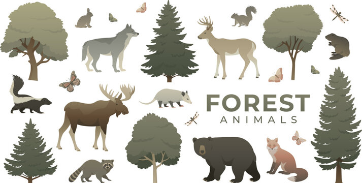 Animals and trees set. Colored flat vector illustration of forest wildlife. Biodiversity of flora and fauna collection isolated. Bear, raccoon, wolf, moose, deer, fox, beaver, skunk, opossum.