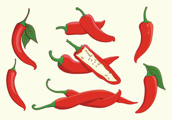 Chili pepper vector illustration, Chili illustration, Chili pepper logo set, Chili pepper vector, Chili icon, Hot chili illustration.