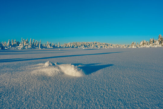 Image from a trip to the Osthogda Hill, part of the Totenaasen Hills, Norway, in winter.