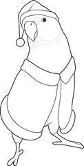 Parrot Christmas Santa hat Animal Vector Graphic Art Illustration