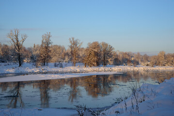 beautiful frosted trees and ducks in the river on the ice in the evening sunset in winter