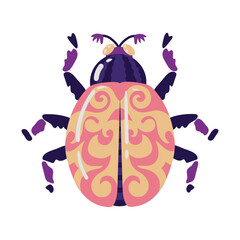 beautiful Beetle Dragonfly insect. Decorative stylized insect with a botanical pattern on the wings. Beetle wings. Vector illustration on a white background.