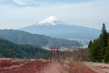 Tenku No Torii Gate with a view of Mount Fuji in Japan