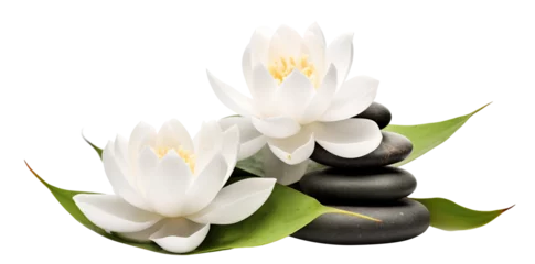 Rolgordijnen Tranquil spa stones complement lotus blooms, cut out © Yeti Studio