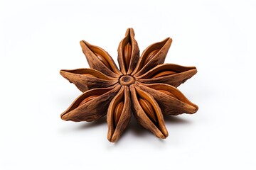 anise star with seeds in the center