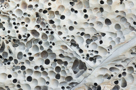 Weathered honeycomb rock texture with organic patterns