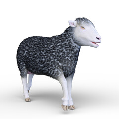 ヒツジ　3DCG レンダリング