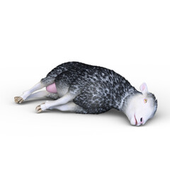 ヒツジ　3DCG レンダリング