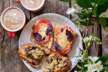 toast with tomato, cheese and basil and toast with cheese and mushrooms. Side view.