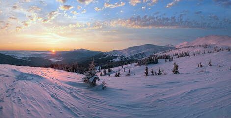 Picturesque winter alps sunrise. Highest ridge of the Ukrainian Carpathians is Chornohora with...