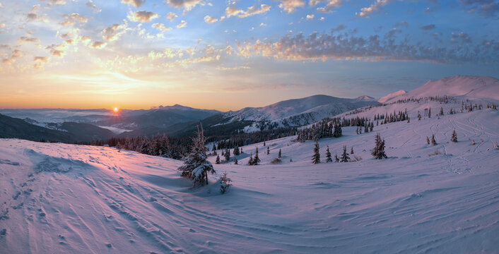 Picturesque winter alps sunrise. Highest ridge of the Ukrainian Carpathians is Chornohora with peaks of Hoverla and Petros mountains. View from Svydovets ridge and Dragobrat ski resort.