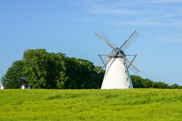 Obraz premium Beautiful summer landscape with white windmill in green field under blue sky