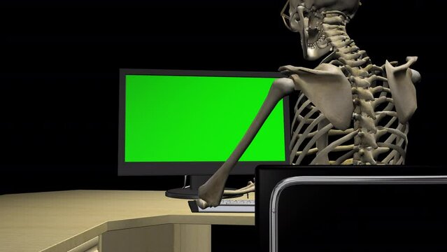 Smart Skeleton - Computer Work - Back Angle View CU - Funny 3D animation isolated on transparent background with alpha channel