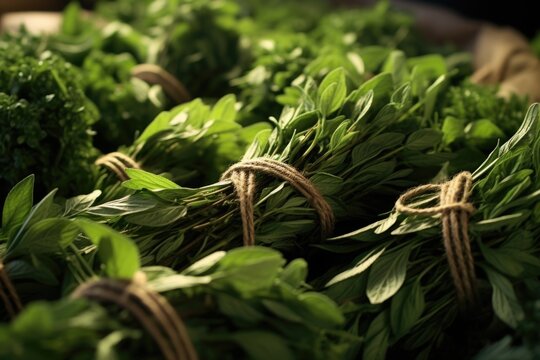 Bunches of fresh herbs wrapped in twine. Perfect for adding flavor to culinary dishes or for decorating a rustic kitchen