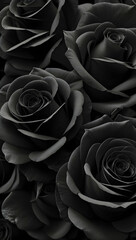 black roses wallpaper
