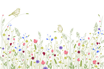 Flower border. Wild flowers, decorative grasses and cute birds on a white background. Floral pattern. Vector illustration. Template for congratulations, invitations, wedding decor. - 688818545