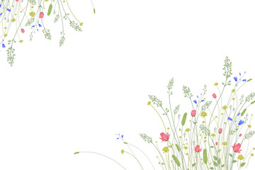 Flower border. Wild flowers and decorative grasses on a white background. Floral pattern. Vector illustration. Template for congratulations, invitations, wedding decor. Vintage - 688818569
