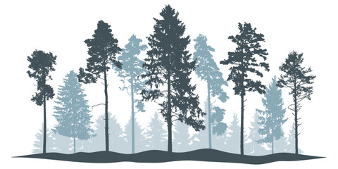 Winter landscape, silhouette of coniferous forest, beautiful pines and spruce trees. Vector illustration