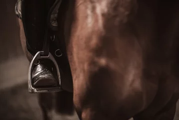 Foto auf Acrylglas Close-up of the rider's leg. Horse jumping sport theme. © peterzayda