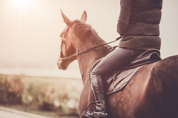 A rider on a horse ready to ride. Professional horse riding athlete. Horse jumping. Equestrian theme. - obrazy, fototapety, plakaty