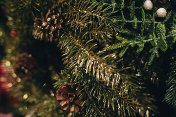 shiny Christmas fir branches with pine cones