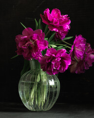 bouquet of dark red lilac tulips in glass vase on dark background. flower bouquet in vase on table. Gift interior decoration. florist, decorator. Flower shop.