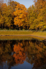 early autumn in city park or garden, green and yellow trees are reflected in lake or pond. beautiful view of nature in city. circular park for walking and quiet relaxation in Magapolis.