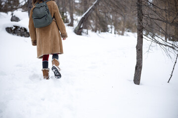 Adversities and Danger of Walking in Deep Snow in Alpine Environment Landscape - Embrace the Winter Terrain with Care