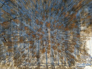 Aerial view of a winter snow-covered pine forest. Winter forest texture. Aerial view. Aerial drone view of a winter landscape. Snow covered forest. Aerial photography