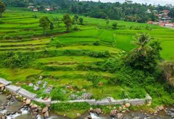 Fototapeta na wymiar Aerial view of rice fields terrace. Beautiful green rice fields plantation for agricultural concept. 
