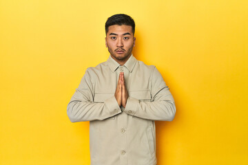 Asian man in stylish gray shirt on yellow studio praying, showing devotion, religious person...