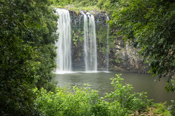 Fototapeta na wymiar A waterfall called Dorrigo Falls framed by greenery in Dorrigo on the Waterfall Way in New South Wales, Australia.