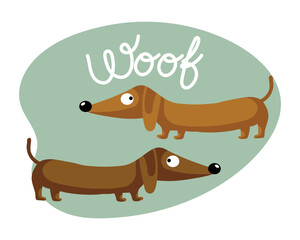Cartoon funny dachshund dog and the word Woof. Flat style illustration, kids print, postcard, vector