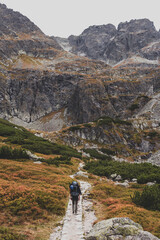 Fototapeta na wymiar Hiker on the path in the Tatra Mountains in Poland.