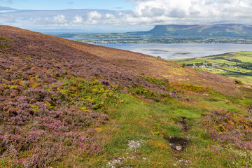 Trail to Knocknarea mountain with ocean in background