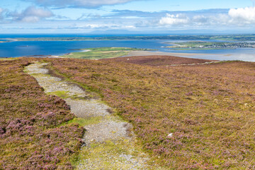 Trail to Knocknarea mountain with ocean in background