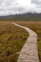 Trail over the bog