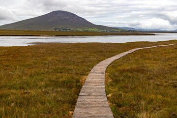 Trail over the bog
