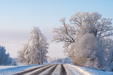 winter landscape with trees