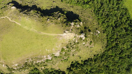 árvore, natureza, verde, montagna, rocha, céu, viagem, verão