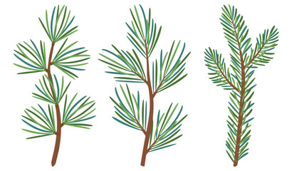 Christmas Larch, Pine, spruce branch, evergreen tree, fir, vector icon, winter plants, New Year wood, holiday decoration. Hand drawn illustration.