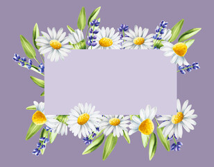 Naklejka na ściany i meble Watercolor frame and logo with lavender, sage and chamomiles illustration isolated on white background. Detail of beauty products and botany set, cosmetology and medicine. For designers, spa decor