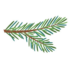 Christmas spruce branch, evergreen tree, fir, vector icon, winter plants, New Year wood, holiday decoration. Hand drawn illustration.