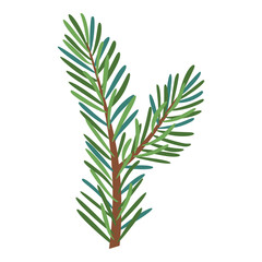 Christmas spruce branch, evergreen tree, fir, vector icon, winter plants, New Year wood, holiday decoration. Hand drawn illustration.