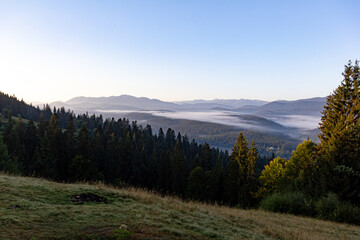 A view of meadowland in the Carpathians, in the background white morning fog over the forest